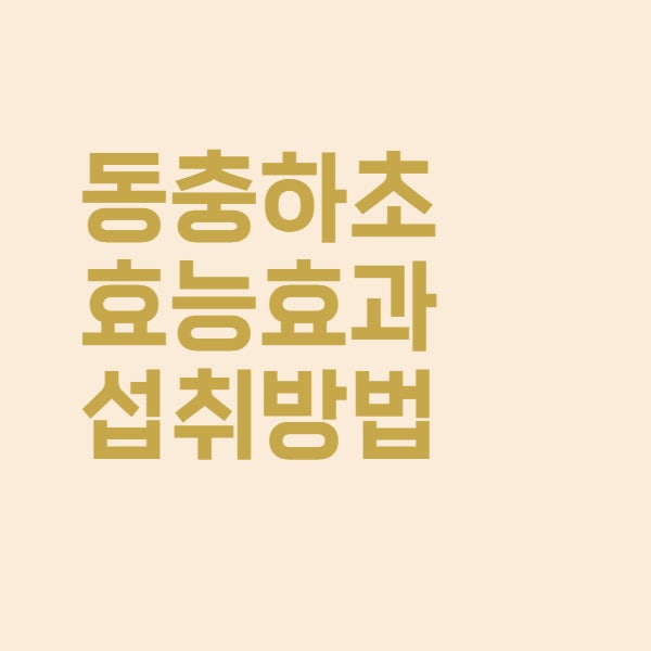  동충하초 효능과 먹는 방법은 이렇습니다