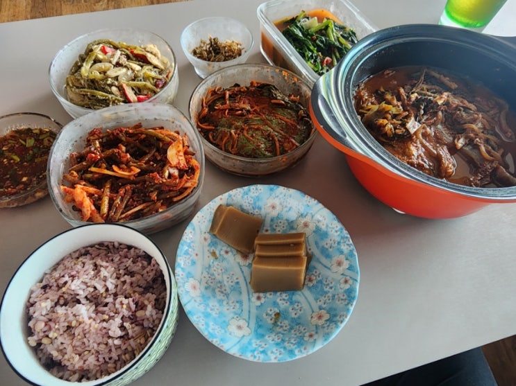  2024. 09. 09 (월) [한국] 반복의 지옥