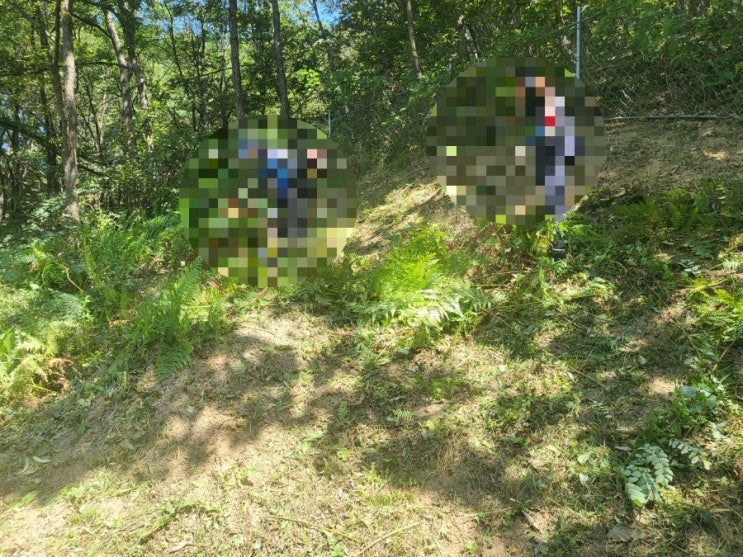  2024년 김천시 구성면 흥평리 고인돌장의사 #김천벌초 #선산벌초 #구미벌초 #황간벌초 #영동벌초 #성주벌초 #상주벌초 #벌초대행 #벌초 #추석벌초 #손없는날 #윤달 #벌초