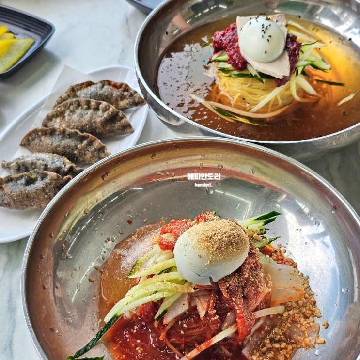  경주 황리단길 찐맛집 황남밀면 흑돼지튀김만두와 밀면의 꿀조합