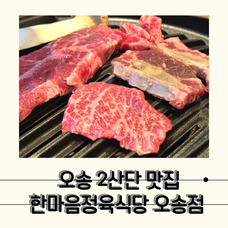  [오송] 모임하기 좋은 오송 고기집 추천, 한마음정육식당 오송점