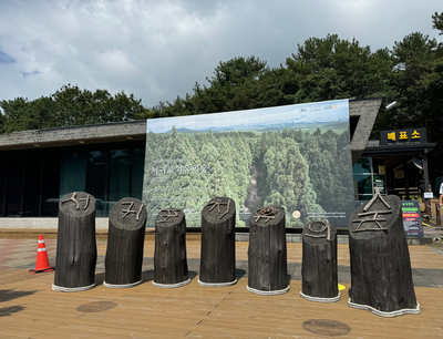  제주 서귀포 치유의 숲