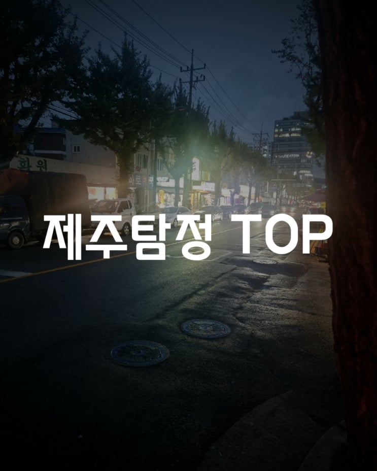  제주 탐정 외도 이혼 고민 중이라면