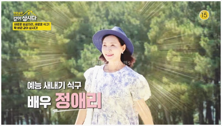  박원숙의같이삽시다  시즌4 혜은이 정애리 조은숙 영덕 사선가 관찰예능 노래방 남행열차 드라마 사랑과진실 KBS2 방송 목요일 저녁