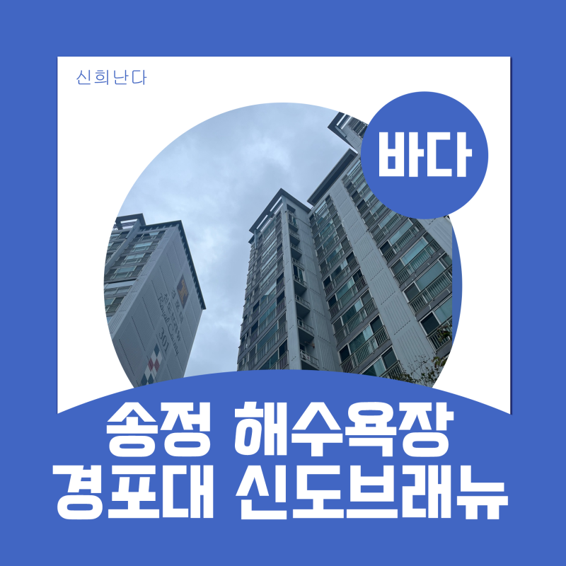 강릉 세컨드하우스로 살기 좋은-송정해수욕장 도보 8분 경포대 신도브래뉴 아파트 임장 후기