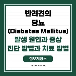  반려견의 당뇨(Diabetes Mellitus) 발생 원인과 증상, 위험성과 치료 방법