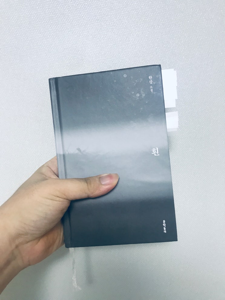  흰_한강 소설, 문학동네