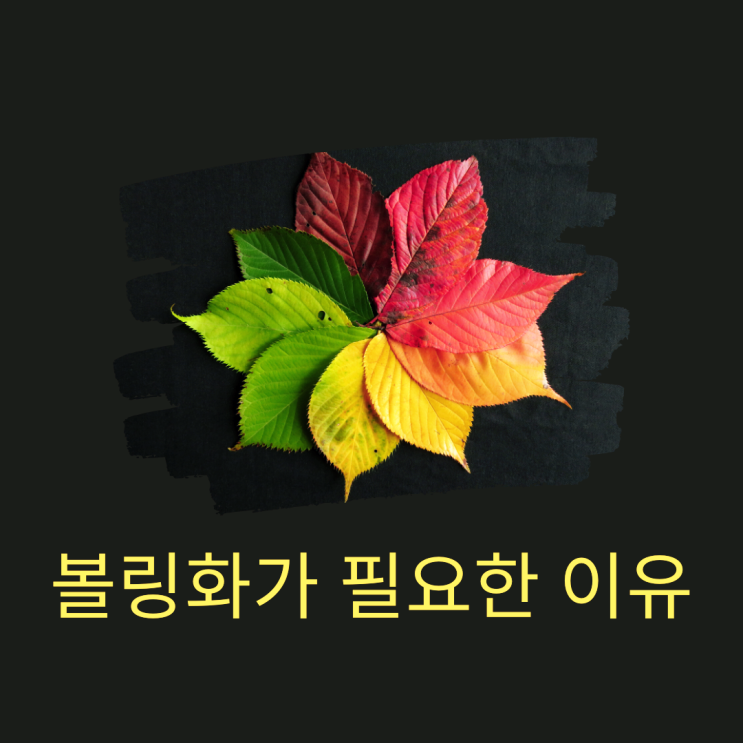  볼링화가 필요한 이유