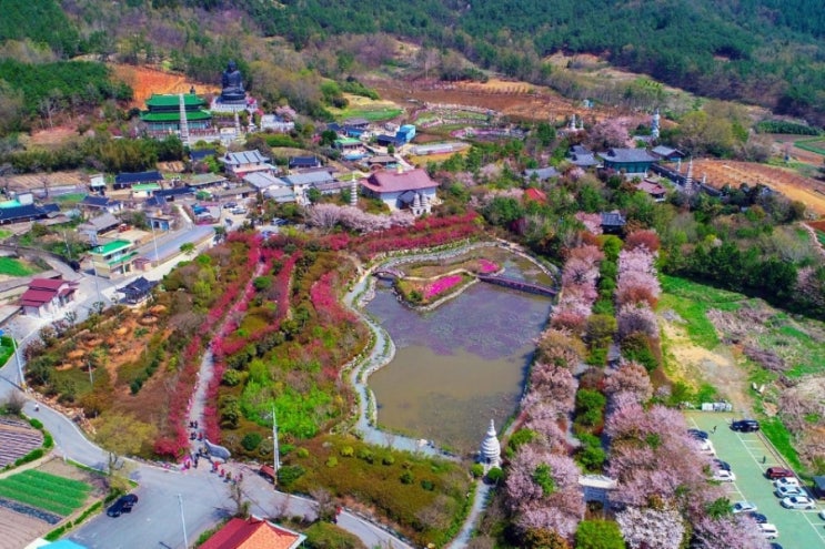  전남 강진_ 강진 임(林)과 함께 3일 살기 