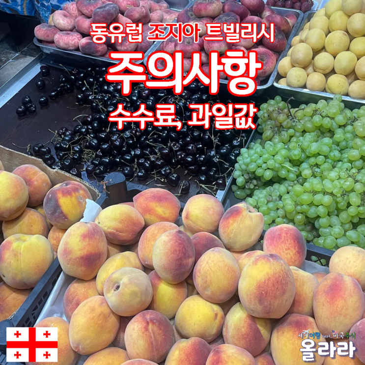  동유럽 조지아 트빌리시 마트 물가 까르푸 사기주의