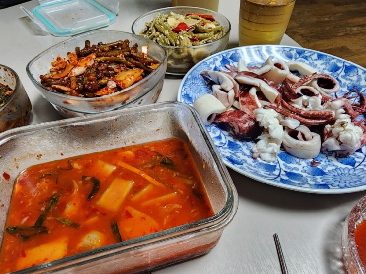  2024. 09. 08 (일) [한국] 체력방전 & 다시공부
