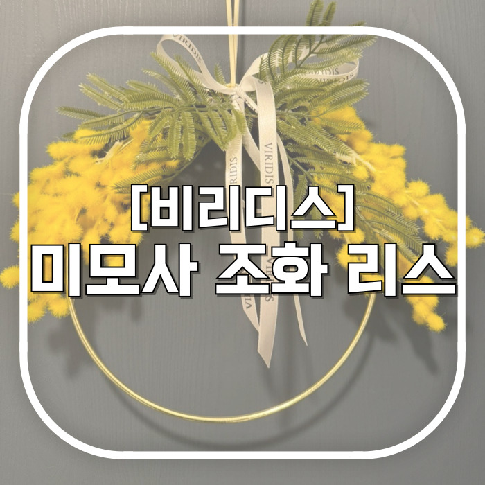  비리디스 미모사 조화 리스 / 현관문 꾸미기 집들이 개업 선물 추천 내돈내산