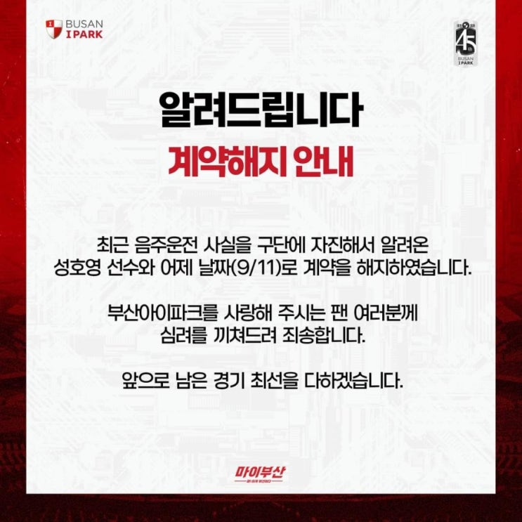 [오피셜] <b>부산</b> 아이파크 <b>성호영</b> 계약 해지.. <b>음주 운전</b> 자진 신고