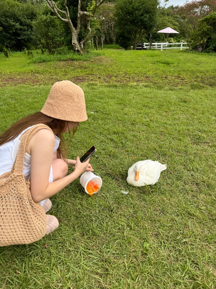  길갈 팜 랜드 - 제주도 동물농장 체험 카페 (구 사려니팜)