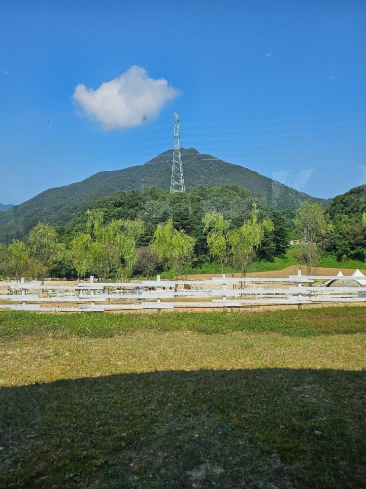  부가세 절세