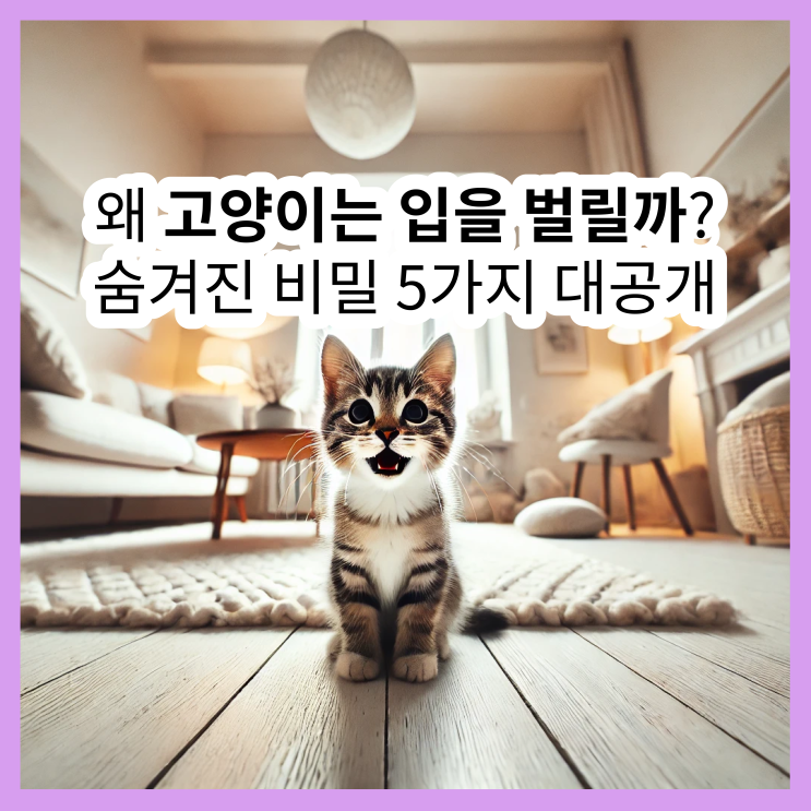  고양이 입벌림, 5가지 이유 3분만에 이해하기