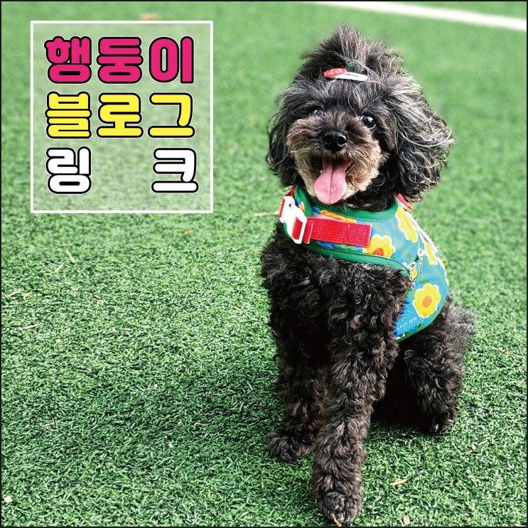  블로그 사이트맵 한눈에 보기편한 목차