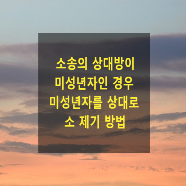  소송의 상대방이 미성년자인 경우 미성년자를 상대로 소제기 할 수 있는지(특별대리인)