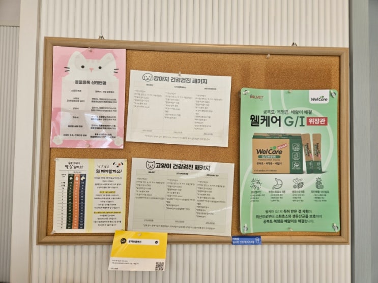  광주 로컬 동물 병원 추천, 올치 동물 병원 / 솜이 정착 로컬 병원