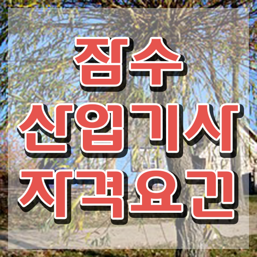  잠수산업기사 시험 접수 잠수산업기사 자격요건 집에서 온라인으로 간단하게 준비한 과정
