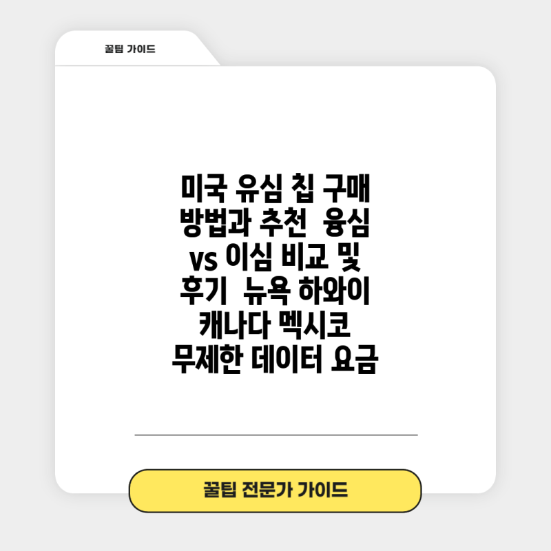미국 유심 칩 구매 방법과 추천 융심 vs 이심 비교 및 후기 뉴욕 하와이 캐나다 멕시코 무제....