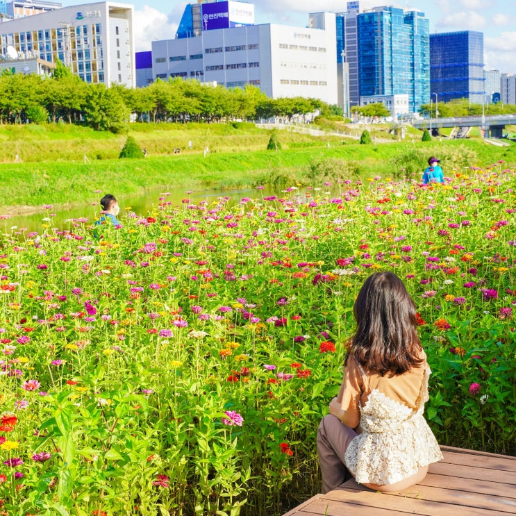 9월 국내 여행지 추천 베스트10 ️ 9월 국내 여행지 추천 베스트10 ️