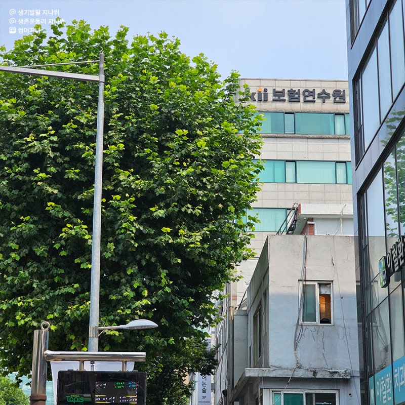 24년 9월 손해보험대리점 시험 드디어 합격(기출문제 / 준비팁)