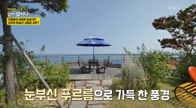 영덕·숙소·촬영지️배우 <b>정애리</b> 이혼 두 번 후 <b>복막염</b>... 
