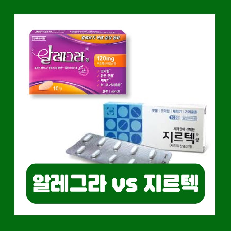  알레그라지르텍 가격 성분 효과 부작용 차이 항히스타민제