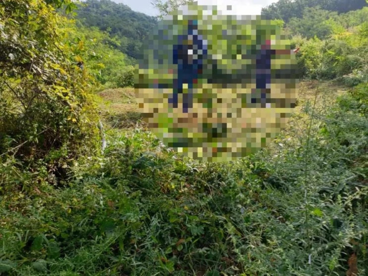 2024년 김천시 봉사면 신리벌초2기 고인돌장묘개발 #김천벌초 #선산벌초 #구미벌초 #황간벌초 #영동벌초 #성주벌초 #상주벌초 #벌초대행 #벌초 #추석벌초 #손없는날 #윤달 #벌초