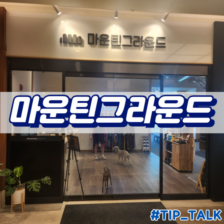  동탄 실내 놀거리 마운틴그라운드 클라이밍 후기