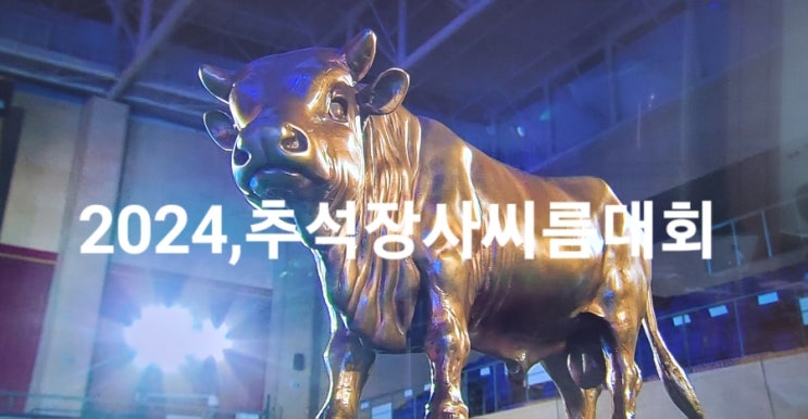 <b>추석장사씨름대회</b> 여자 개인&단체전 결과, 매화,<b>양윤</b>서.국화... 