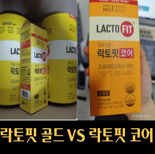 종근당 락토핏 유산균 골드 코어 차이점 비교