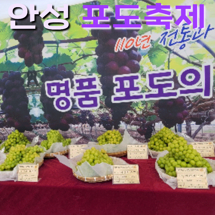 안성맞춤 포도축제