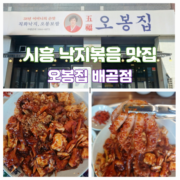배곧 한식 맛집 배곧 맛집 정왕동 술집 직화낙지볶음 오봉집 배곧점 재방문 배곧 한식 맛집 배곧 맛집 정왕동 술집 직화낙지볶음 오봉집 배곧점 재방문