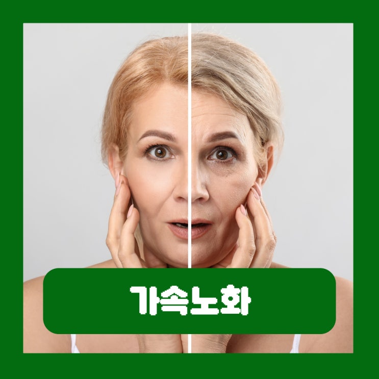  가속노화 뜻 원인 식단 방지하는 방법