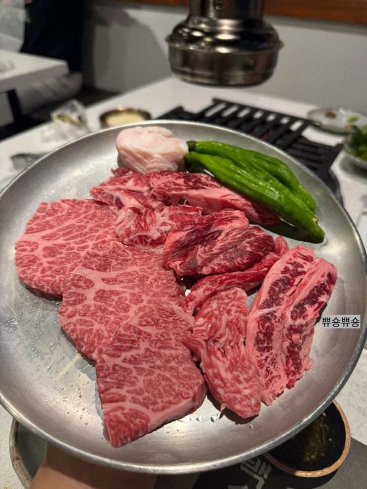  강남 청담동 맛집 식객 허영만이 반한 ++한우 살치살 청담백송