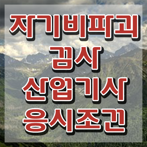  자기비파괴검사산업기사 자격요건 온라인 수업으로 빠르게 준비한 전략