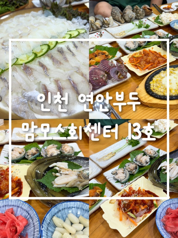  인천 연안부두 맘모스회센터 13호: 시댁 단골 횟집에서 즐긴 신선한 회와 가족 식사 후기
