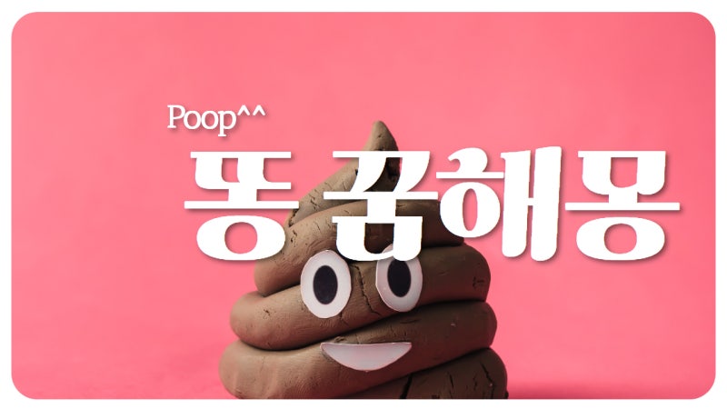 똥 꿈해몽^^