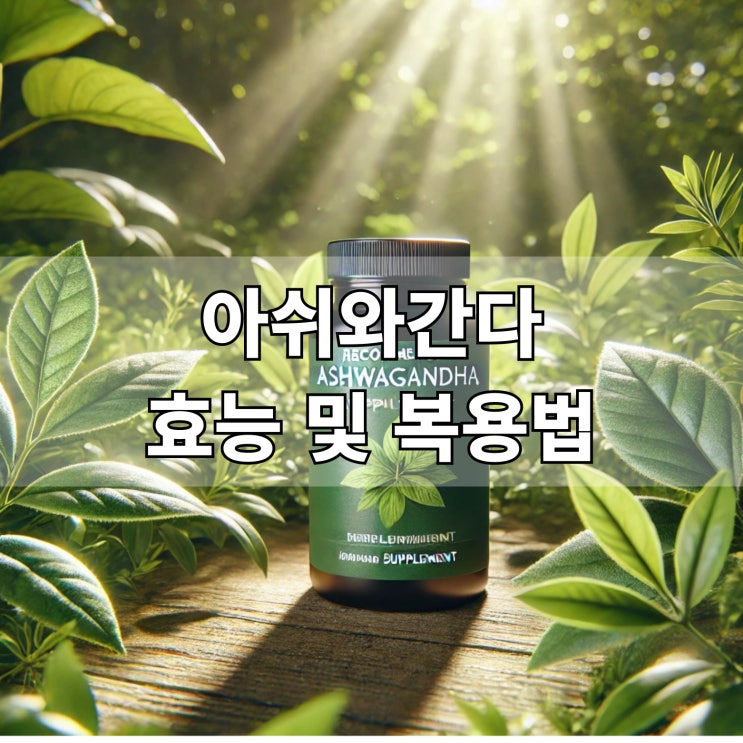  아쉬와간다 효능 및 복용법 스트레스 완화와 피로 회복을 위한 경험담
