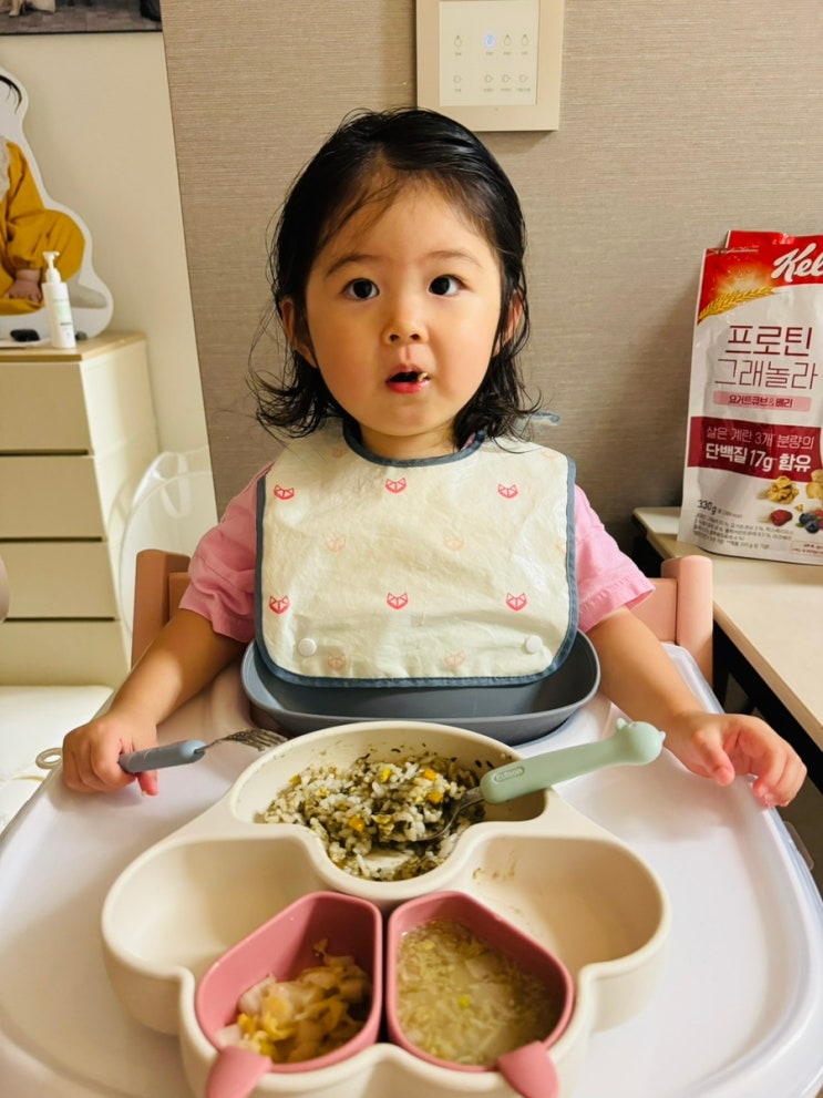  배냇밀 시판 이유식부터 유아식까지 돌 아기 반찬 배달 먹방 후기
