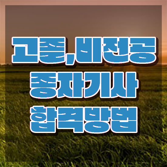  종자 산업기사 종자기사 시험응시조건 집에서 온라인으로 편하게 완료한 후기