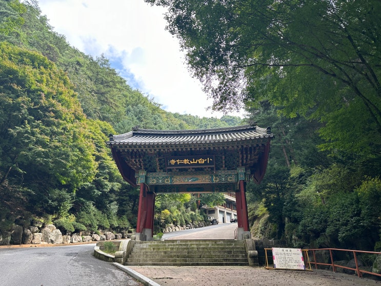  자연과 함께 공존하는 국내 최대 규모 절, 단양 구인사