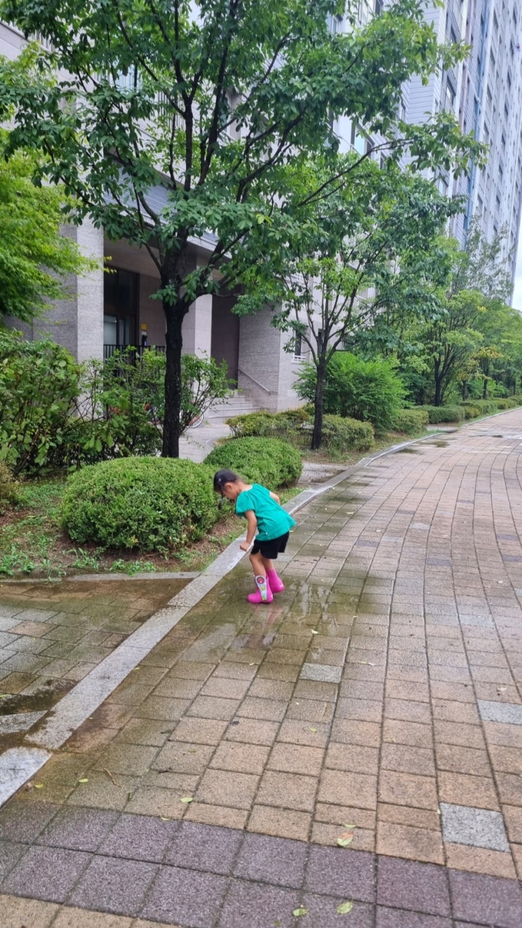  미라클 모닝