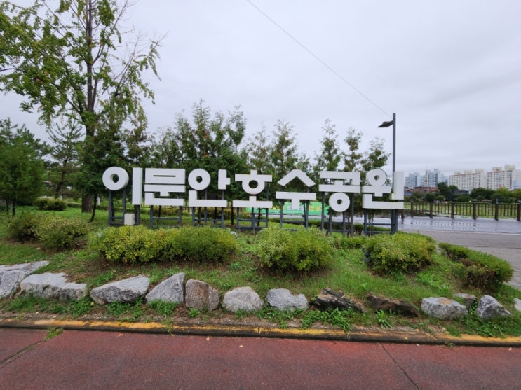  연꽃 피는시기 구경하기 좋았던 구리 가볼만한곳 이문안호수공원