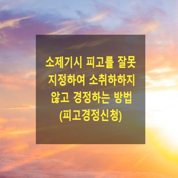  소제기시 피고를 잘못 지정하여 소취하하지 않고 경정하는 방법(피고경정신청)