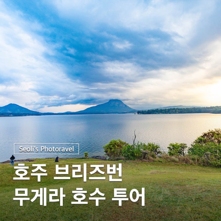  호주 브리즈번 무게라호수 은하수 투어 비오는날 후기