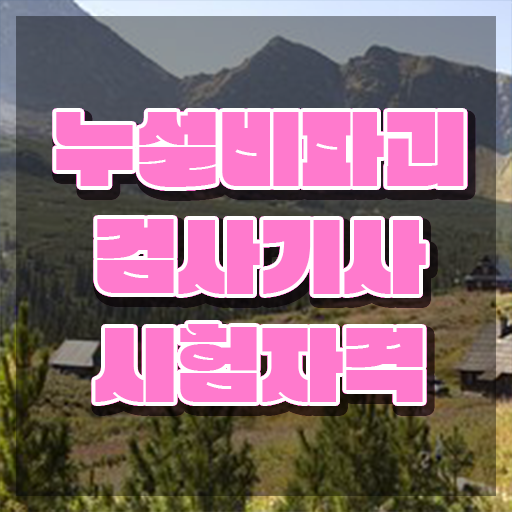  누설비파괴검사기사 응시자격 온라인으로 쉽고 빠르게 완료한 방법