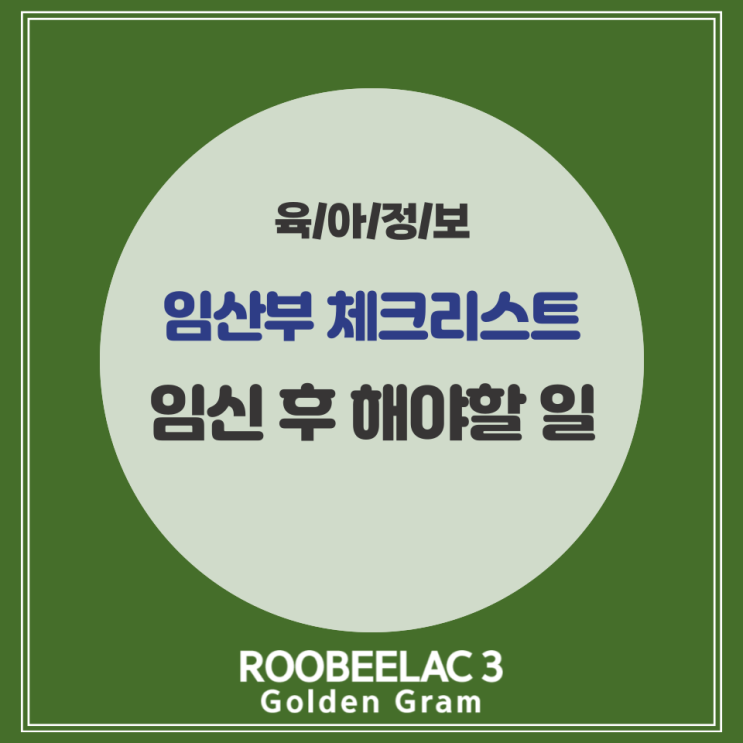  임신 확인 후 해야 할 일 체크리스트 임산부 준비 by. 덴마크 슈퍼 프리미엄 분유 루비락 3